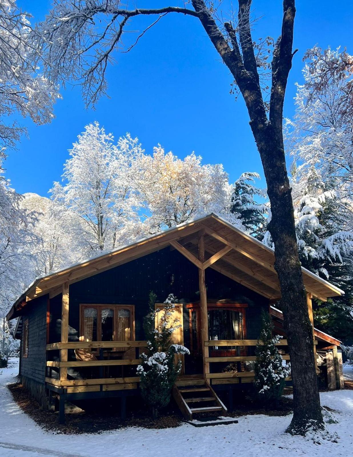 Bosque Trancas Chalet Las Trancas